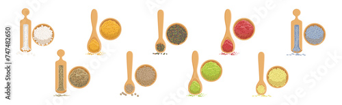 Different Spice and Condiment Pile for Cooking Vector Set