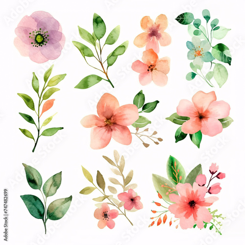 watercolor floral illustration set for wedding invitations  greetings  wallpapers  fashion  prints isolated on white background