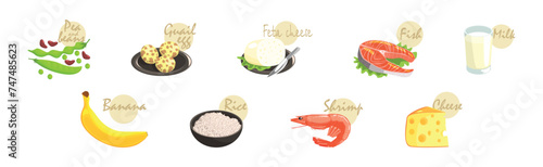 Healthy Food and Product with Inscription Vector Set