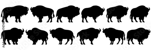 Bison buffalo silhouettes set, large pack of vector silhouette design, isolated white background