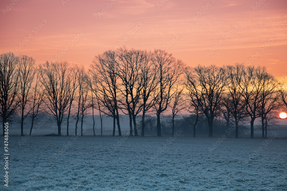 Wschód słońca na wsi zimą, widok zza drzew. Krajobraz wiejski o wschodzie słońca w zimowy poranek - obrazy, fototapety, plakaty 