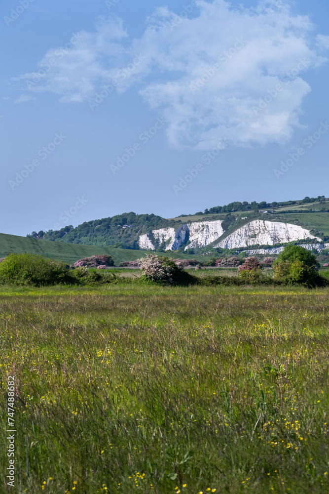 Walking in East Sussex, England, in spring, flower meadows and chalk cliffs Walking in East Sussex, England, in spring, flower meadows and chalk cliffs