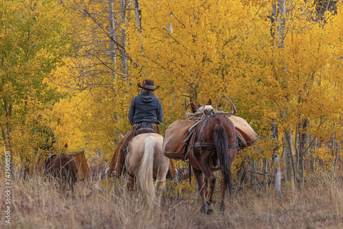 Colorado Outfitters photo