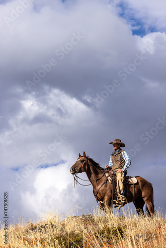Colorado Cowboy in the Mountains © Terri Cage 
