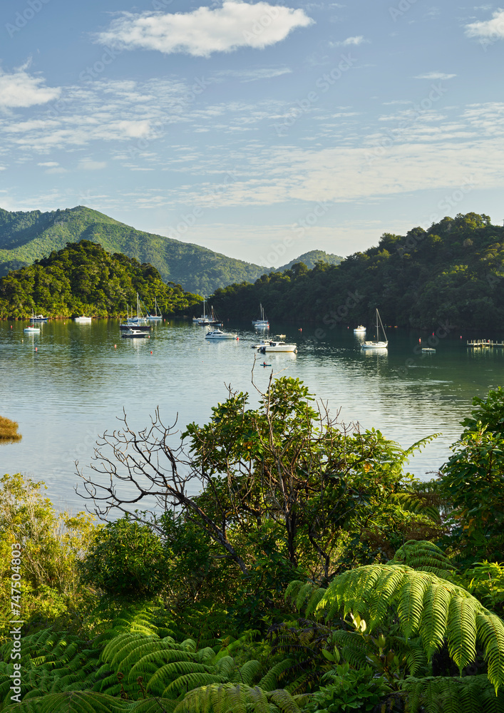 Ngakuta Bay, Marlborough, Südinsel, Neuseeland, Ozeanien Ngakuta Bay, Marlborough, Südinsel, Neuseeland, Ozeanien