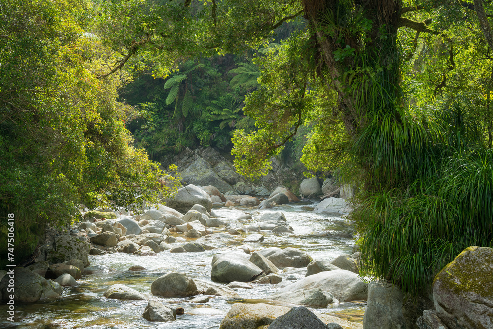 Wainui Falls, Tasman, Südinsel, Neuseeland, Ozeanien Wainui Falls, Tasman, Südinsel, Neuseeland, Ozeanien