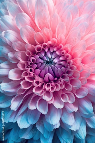 Detailed close up of a pink and blue flower, suitable for various projects © Fotograf