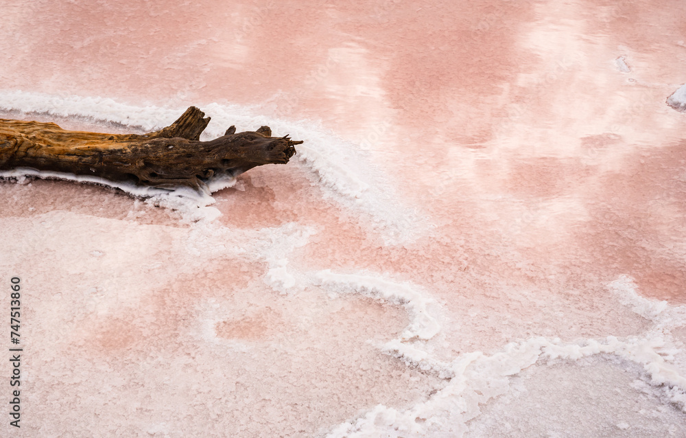 Salins d’Aigues-Mortes, Camargue, France. Europe's largest salt marshes Salin-de-Giraud, sea salt production.