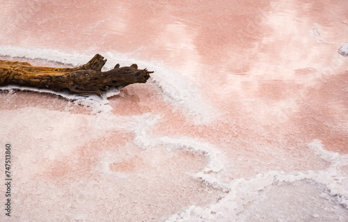 Salins d’Aigues-Mortes, Camargue, France. Europe's largest salt marshes Salin-de-Giraud, sea salt production.