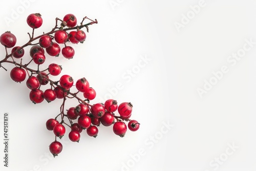 Bright red berries on a clean white background. Suitable for food and nutrition concepts