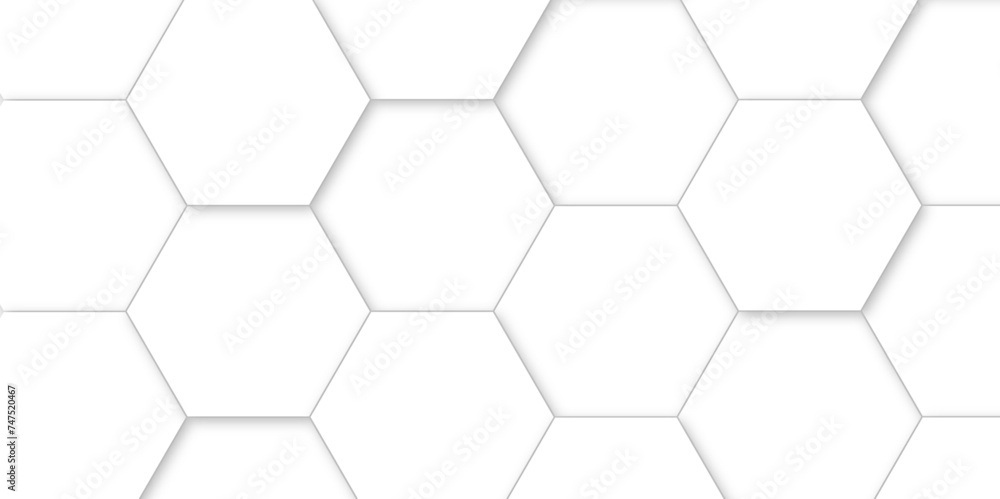 Abstract background with white hexagons and seamless pattern in vector design . luxury white pattern geometric mesh cell texture .hexagon 3d background texture design . Abstract background with white hexagons and seamless pattern in vector design . luxury white pattern geometric mesh cell texture .hexagon 3d background texture design .