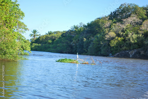 Rio Pojuca - Reserva Uirapuru - Bahia