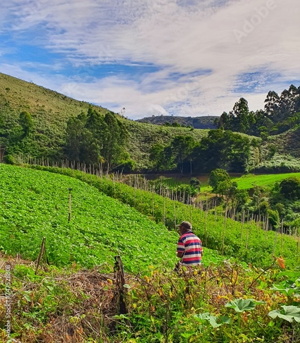  crop in vegetable field and worker man with back