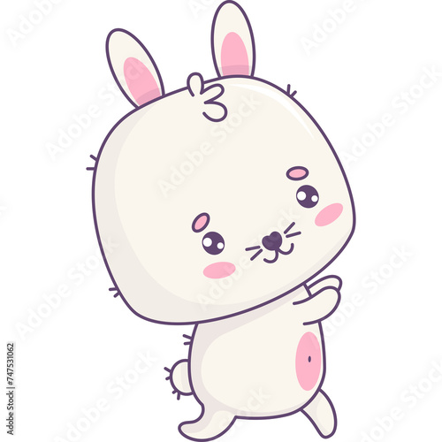 Funny bunny animal