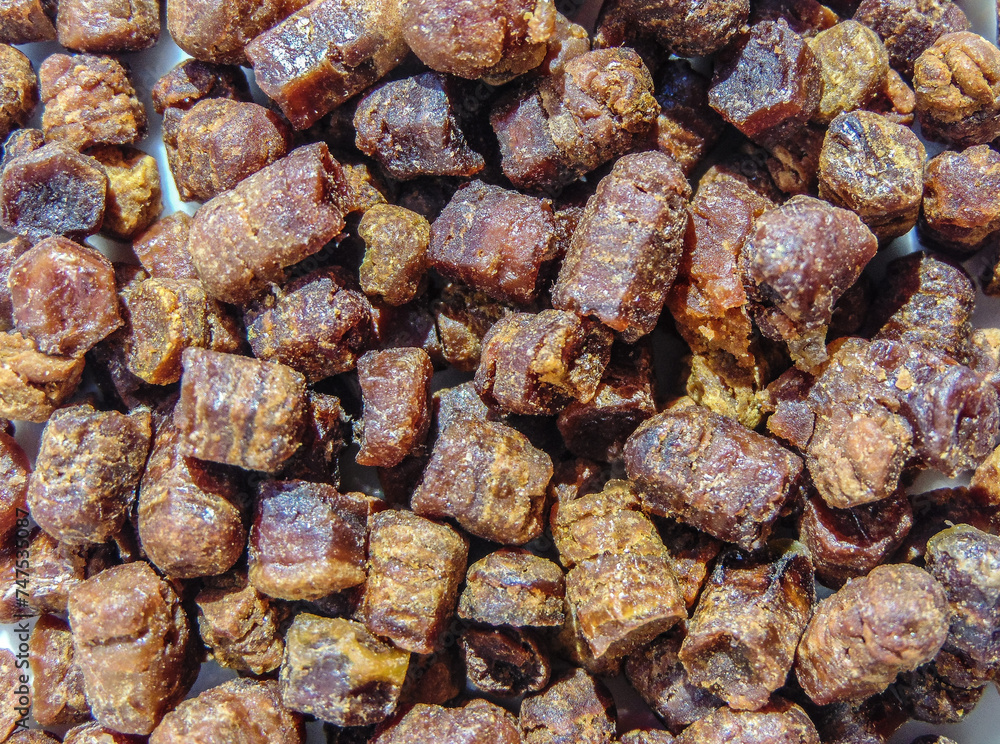 Group of bee bread (pastura in romanian). Macro bee bread Group of bee bread (pastura in romanian). Macro bee bread