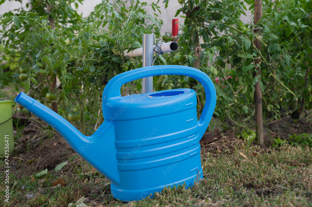 gardening tools, blue watering can for watering plants. Garden and lawn care gardening tools, blue watering can for watering plants. Garden and lawn care
