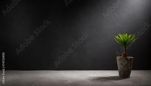 A visually striking image featuring a plant in a pot on a concrete floor in an empty room, with a black wall background and a bright spotlight creating captivating shadows. photo