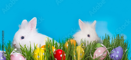 little white rabbit and easter eggs