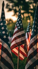 text happy independence day and american flags