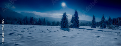 winter landscape © Vera Kuttelvaserova