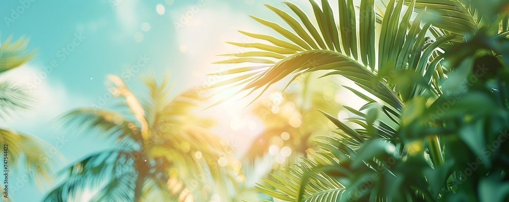 Palm Sunday concept: green palm tree leaves on natural sky - obrazy, fototapety, plakaty 