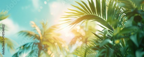 Palm Sunday concept: green palm tree leaves on natural sky