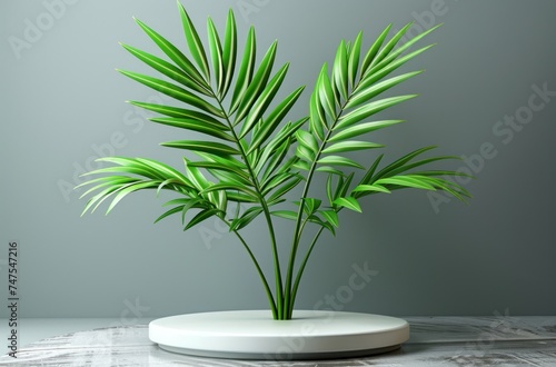 An award trophy with a white frame and a palm leaf, symbolizing achievement a...