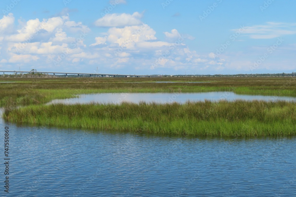 Beautiful view on rivers and marshes in North Florida nature