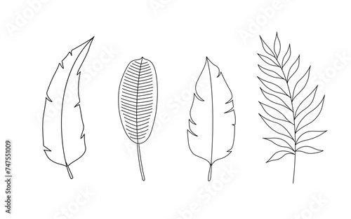 Set tropical elements vector illustration. Line art