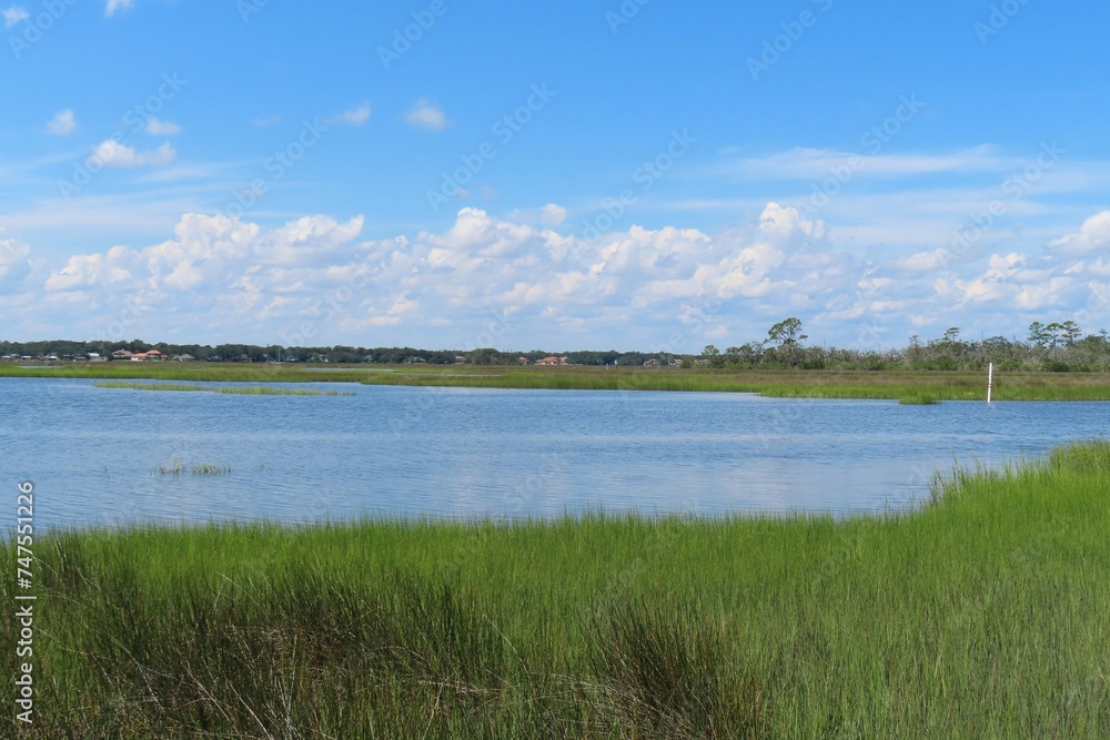 Beautiful view on rivers and marshes in North Florida nature
