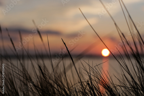 Magico tramonto sulle saline di cervia in mezzo a file d'erba e salicornia. Suggestiva immagine emozionale che regala pace serenità photo