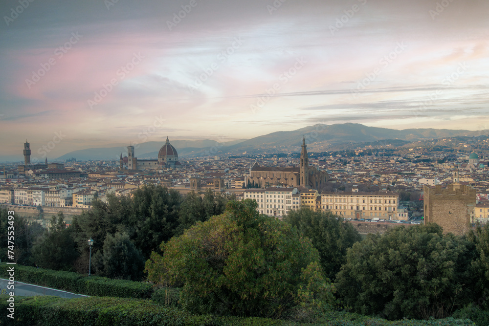 panorama of florance italy 