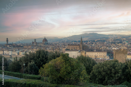 panorama of florance italy  © damien