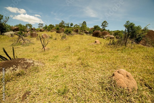 Área de extensa vegetação, pedras, planta, trilhas, capim, rochas e árvores em fazenda no município de Itu, São Paulo, Brasil. 