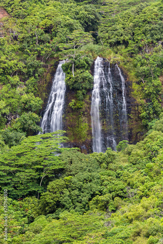 Kauai Opaeka'a Falls