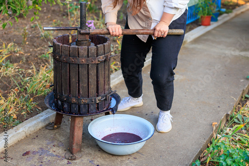 Canvas Print A woman works with a press to produce homemade farm wine