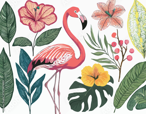 vector drawing set of birds, flowers and leaves, hand drawn flamingo, isolated nature design element