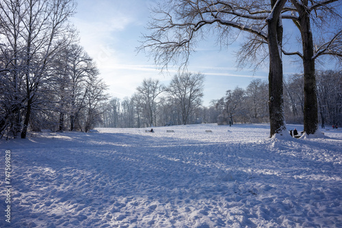 Idyllic Winter Landscape at Aachener Weiher, Cologne: Snow-Covered Park with Sunlit Trees © Mirador
