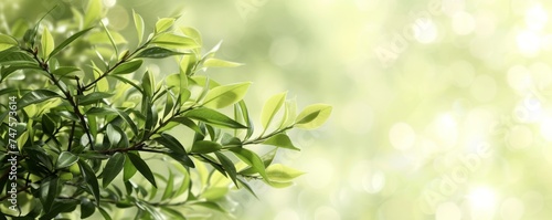 green leaves and twigs background.