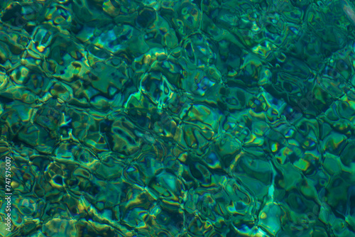 wallpaper made of water, carals in the water