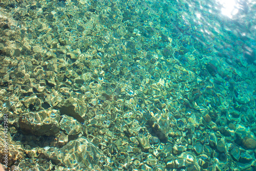 wallpaper made of water, carals in the water