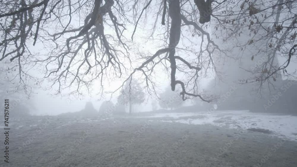 Park in the fog on an autumn day Park in the fog on an autumn day