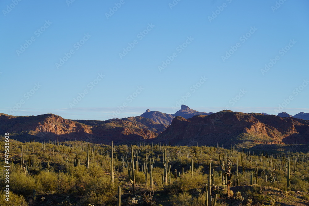 Dawn in the desert of Pinal County, Arizona. 