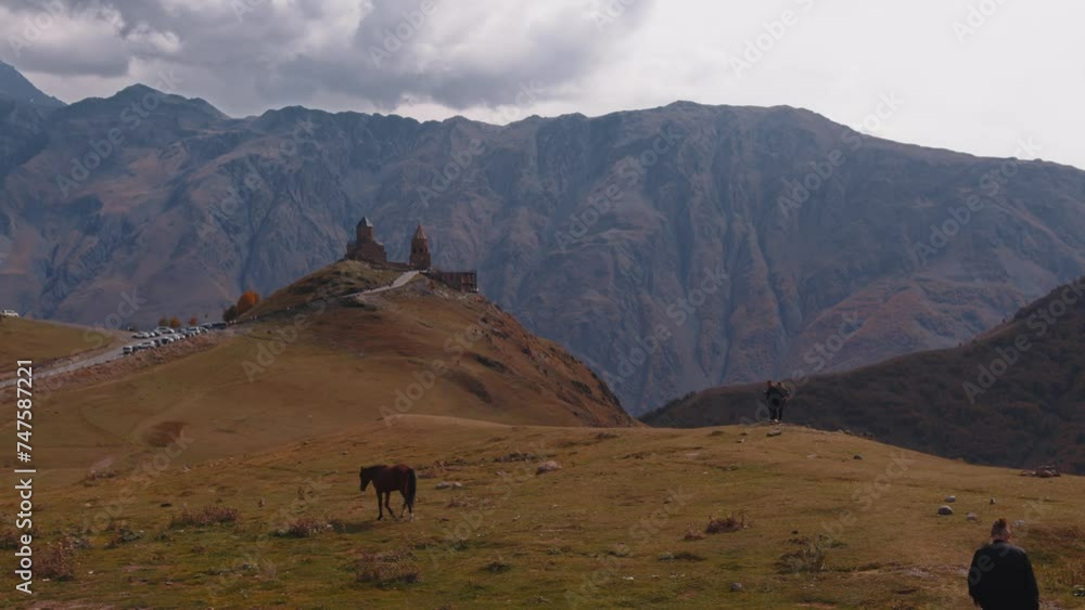 a horse nibbles grass on a green meadow with stunning views of the mountains a horse nibbles grass on a green meadow with stunning views of the mountains