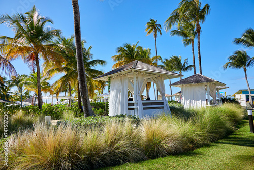 Poolside amongst gardens, palm trees, and cabanas on a beautiful blue sky day in Puerto Rico