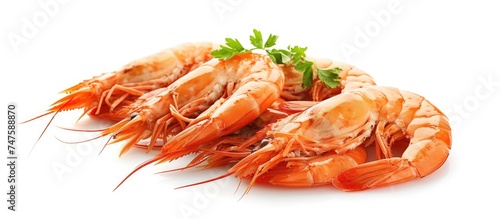 A pile of cooked shrimp, captured on a white background, presenting a clean and refreshing image.