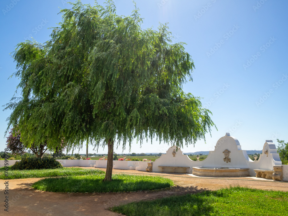 Willow tree by the fountain in Casa dos Patudos