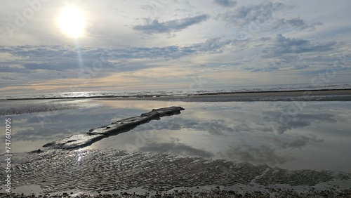 Weimaraner Dog posing on the beach in Bexhill, East Sussex photo