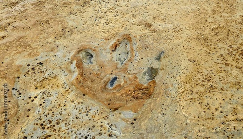 Fossilized Dinosaur Footprints on Bexhill Beach, East Sussex photo