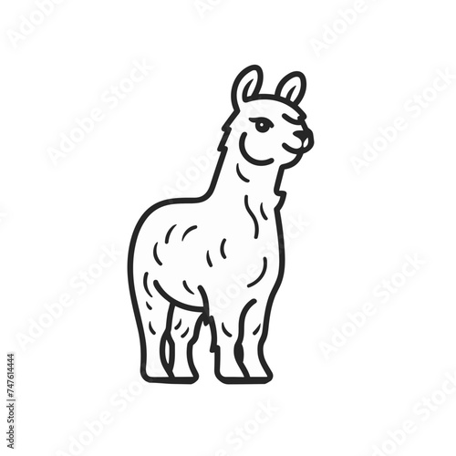 lama or alpaca black and white vector illustration isolated transparent background logo  cut out or cutout t-shirt print design